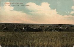 Harvesting On a Ten Mile Field Liberty, NE Postcard Postcard Postcard