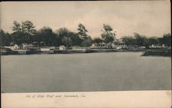 Isle of Hope Bluff Postcard