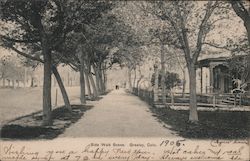 Side Walk Scene Postcard