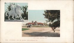 City Park Postcard