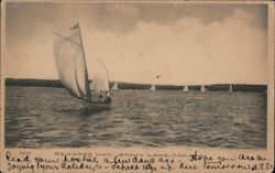 Regatta Day Stony Lake, Canada Misc. Canada Postcard Postcard Postcard