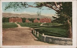 University of California Postcard