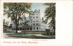 Greetings from the White Mountains - The Oxford Postcard