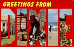 Greetings From Dixie Postcard