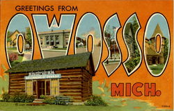 Greetings From Owosso Postcard