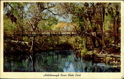 Hillsborough River State Park Postcard