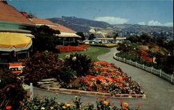 Laguna Beach California Postcard Postcard