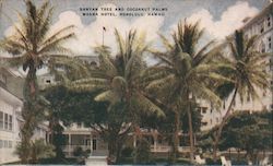 Banyan Tree and Cocoanut Palms, Moana Hotel Honolulu, HI Postcard Postcard Postcard