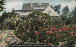 Residence of T.W. Patterson Fresno, CA Postcard Postcard Postcard