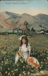 Gathering Poppies in California Postcard Postcard Postcard