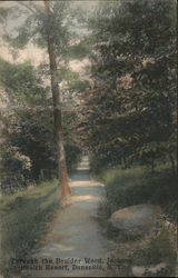 Through the Boulder Wood, Jackson Health Resort Postcard