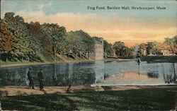 Frog Pond, Bartlett Mall Postcard