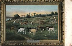 Painting of The Poland Spring Dairy Postcard