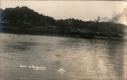 Bahia de Manzanillo Postcard