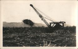 Crane Harvesting Sugar Cane Hawaii Postcard Postcard Postcard