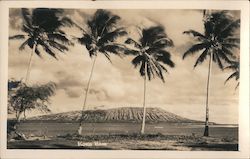 Koko Head Honolulu, HI Postcard Postcard Postcard