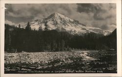 Mountain From Nisqually River at Longmire Springs Mount Rainier National Park Postcard Postcard Postcard