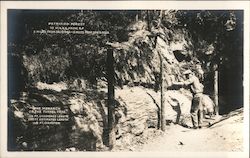 Petrified Forest Postcard