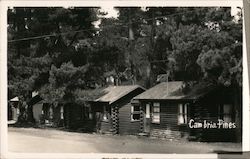 Cambria Pines Cabins California Postcard Postcard Postcard