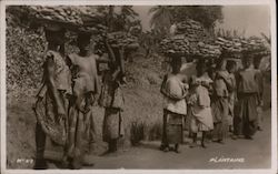 Plantains, Gold Coast Ghana Postcard Postcard Postcard