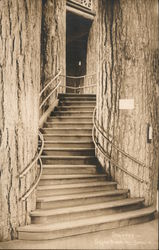 Stairway in the state museum Postcard