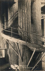 Winding Staircase in State Museum Postcard