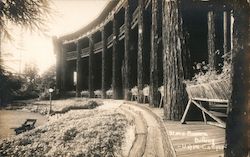 State Museum Building U of W Campus Postcard