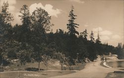 Mt. Baker Park Seattle, WA Postcard Postcard Postcard