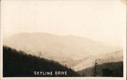 Skyline Drive Postcard