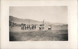 Boys with Flags Postcard