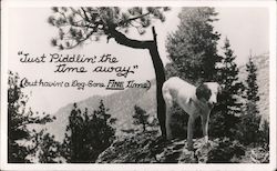 Just Piddlin' the Time Away (but havin' a dog-gone fine time) Dogs Postcard Postcard Postcard