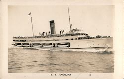 S.S. Catalina Steamers Postcard Postcard Postcard