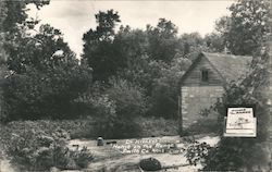 Dr Higley's Home on the Range, Pleasant Township Postcard