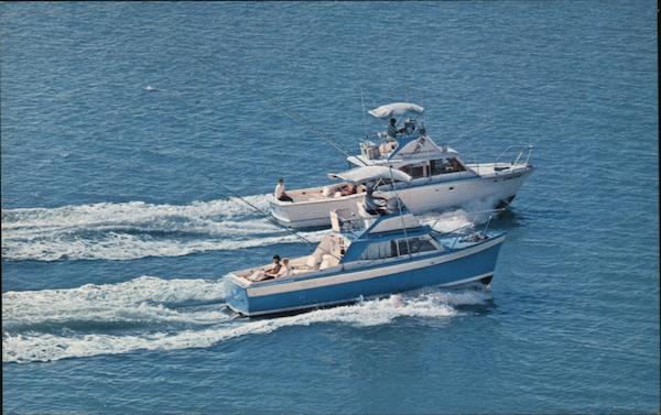 Alley Cat & Tom Cat, Deep Sea Charter Boats Clearwater ...