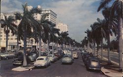 Biscayne Boulevard Miami Beach, FL Postcard Postcard Postcard