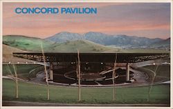 Concord Pavilion Postcard