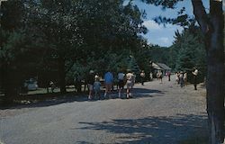 Street Scene, Camp Michaux Postcard