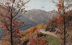 Newfound Gap Highway, Smoky Mountains - Kline Cadillac, Pennzoil Ventura, CA Postcard Postcard Postcard