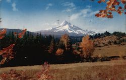 Mount Hood Oregon Postcard Postcard Postcard