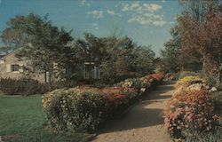 Alfred L. Boerner Botanical Gardens, Whithall Park Postcard