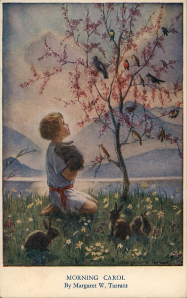 A Young Boy Holding a Rabbit Looking into a Tree with Birds Boys Postcard