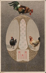 Chickens and an Egg Postcard