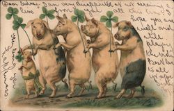 Five pigs holding shamrocks St. Patrick's Day Postcard Postcard Postcard