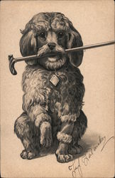 Dog holding a Cane Dogs Postcard Postcard Postcard