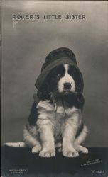 Rover's Little Sister - Dog with Hat Postcard