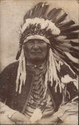 Mountain Chief, Blackfoot Tribe, Montana Native Americana Postcard Postcard Postcard