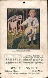 Boy with Chicken and Chicks Advertising Postcard Postcard Postcard