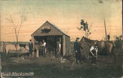 Bush Blacksmith - Farm Scene, Men, Horses Farming Postcard Postcard Postcard