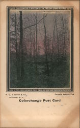 Color Change Post Card - Look at this card sideways Postcard