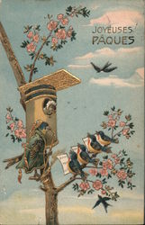 Birds in a Tree and a Bird House Postcard Postcard Postcard